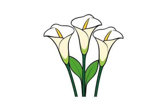 Calla Lily Flowers Graphics for Branding and Marketing