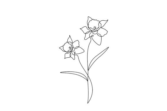 Daffodil Flowers Line Art Graphics