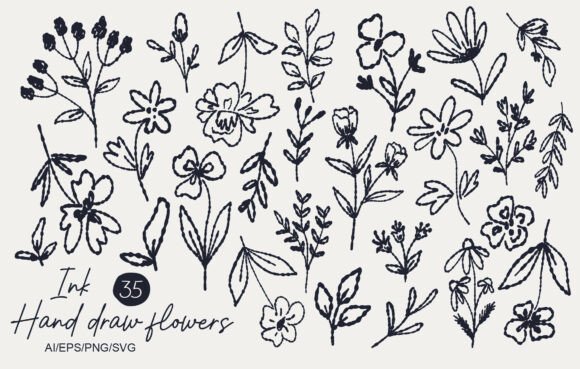 Hand Drawn Ink Flowers Set Review