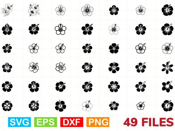 Hibiscus Flowers Svg for Graphics and Illustrations