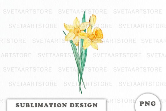 Watercolor Daffodils Flowers Bouquet Png for Graphic Design