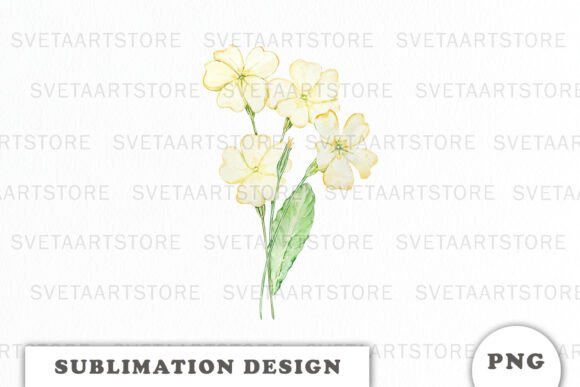 Watercolor Primrose Flowers Bouquet Graphics for Local Branding